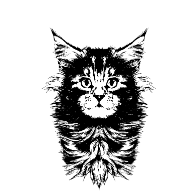 Мордочка кішки 4